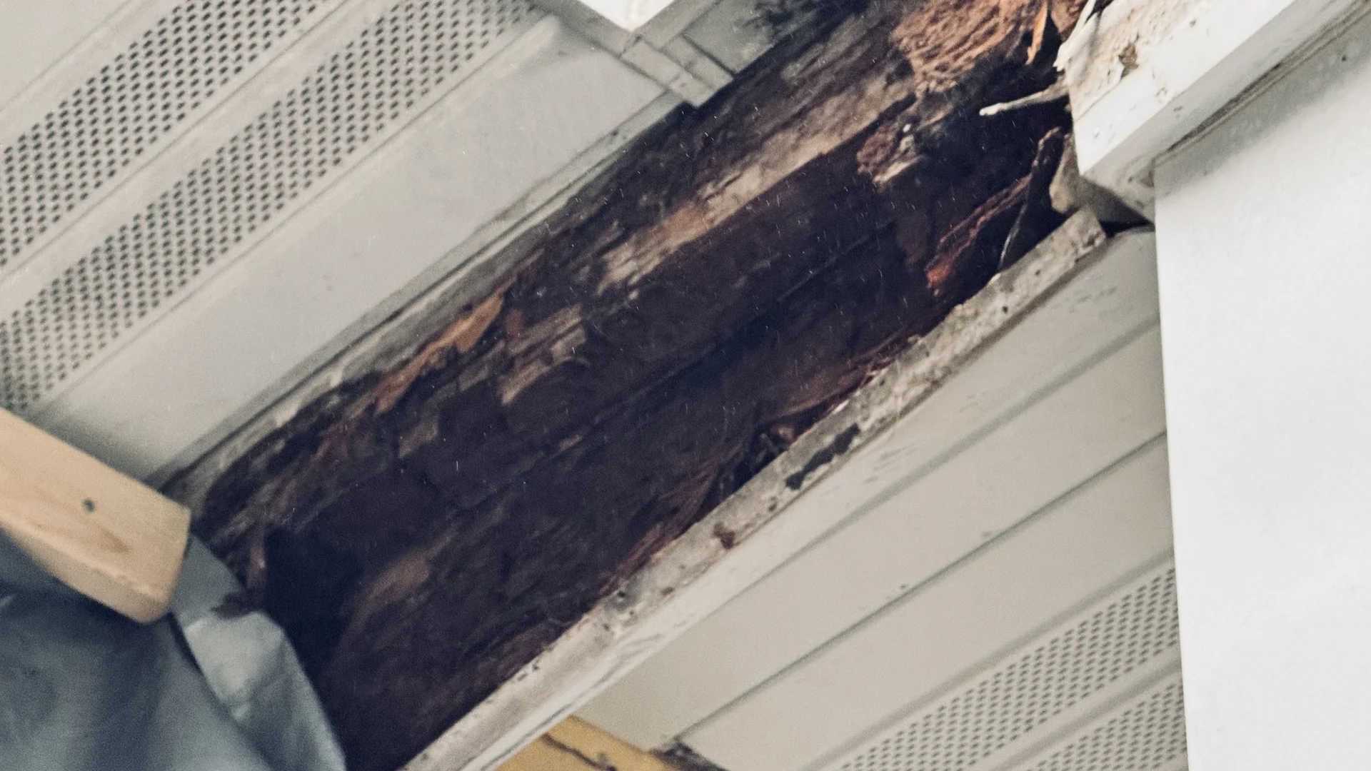 Substrate & Soffit Rot Inspection